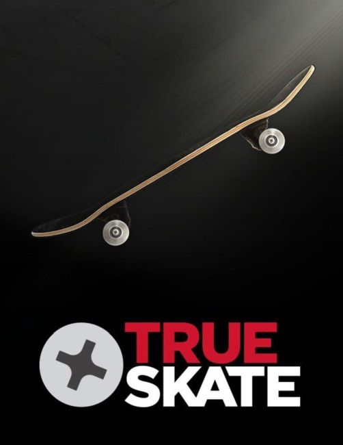 Обложка инди-игры True Skate