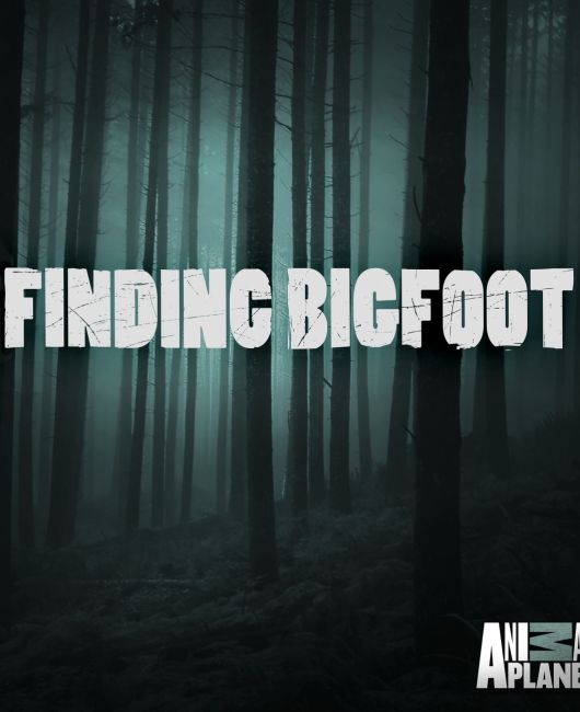 Обложка инди-игры Finding Bigfoot