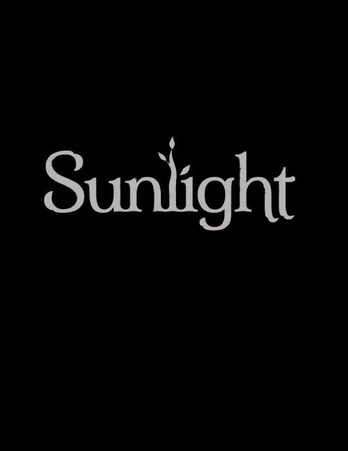 Обложка инди-игры Sunlight