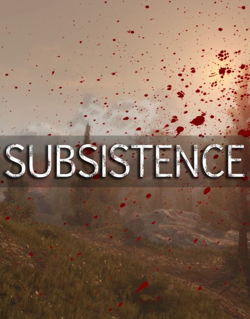 Обложка инди-игры Subsistence