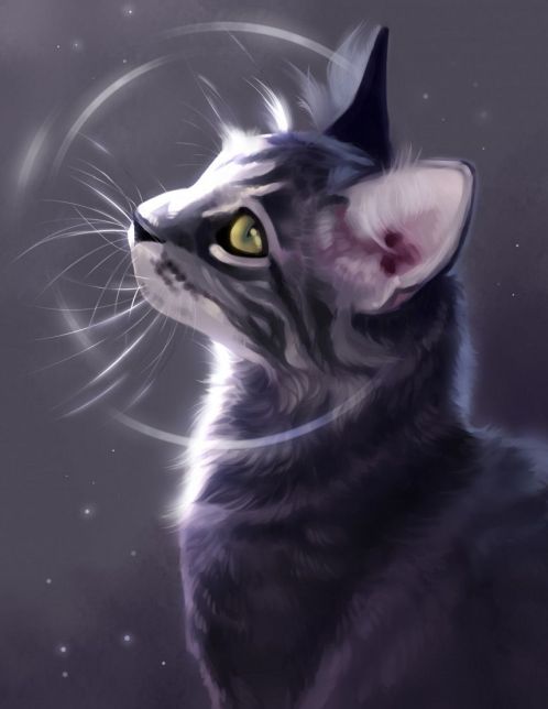Обложка инди-игры Симулятор кошки: Онлайн
