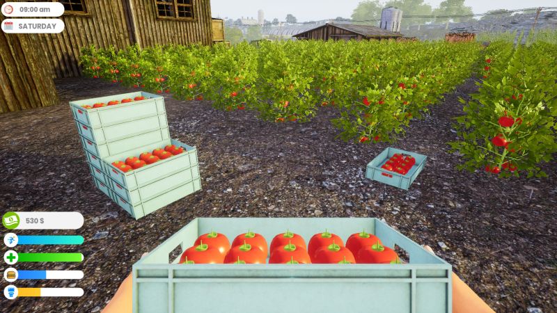 Farmer Life Simulator - Скриншот 4