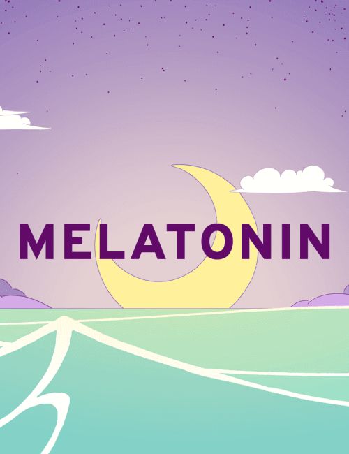 Обложка инди-игры Melatonin
