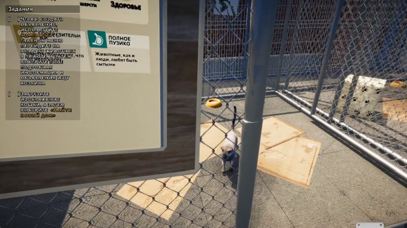Animal Shelter Simulator - Скриншот 2