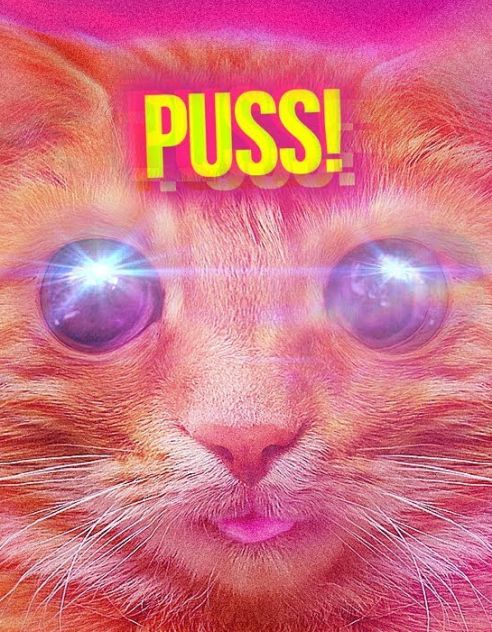 Обложка инди-игры Puss!