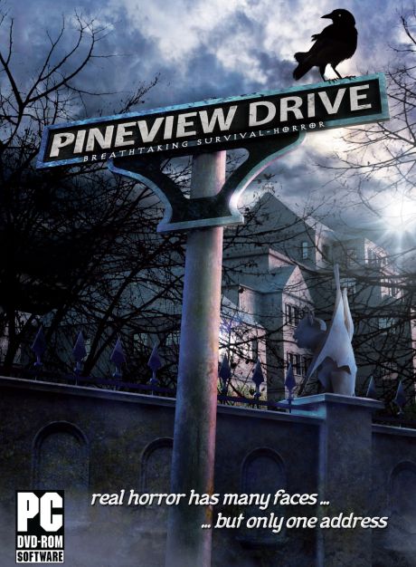 Обложка инди-игры Pineview Drive