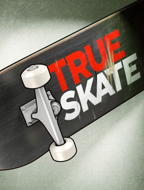 Обложка инди-игры True Skate
